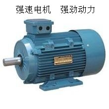 國標全銅線，動力強勁之選 臺州強速Y180L-6 15KW三相異步電動機深度解析